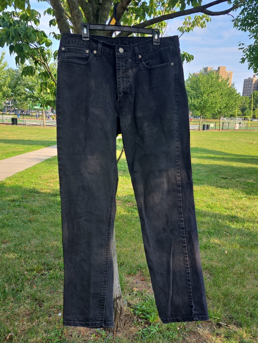 Levi's Black Straight Jeans - Classic Five-Pocket Style